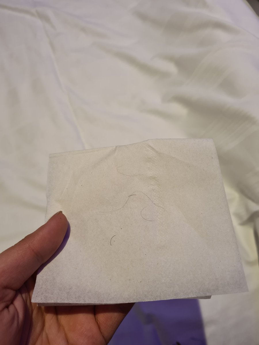 If you need a night away, could not recommend <a href="/premierinn/">Premier Inn</a> more! Especially if you want a fully disturbed nights sleep, heading to reception 3 times, rude receptionists and my favourite - poor cleanliness of the room not once but TWICE 😩 #badnightguarantee #hairybed