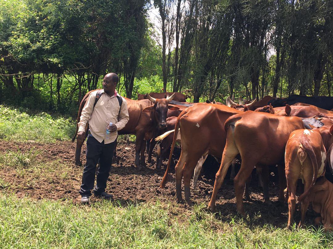 Jaguza Livestock 🇺🇬 tweet media