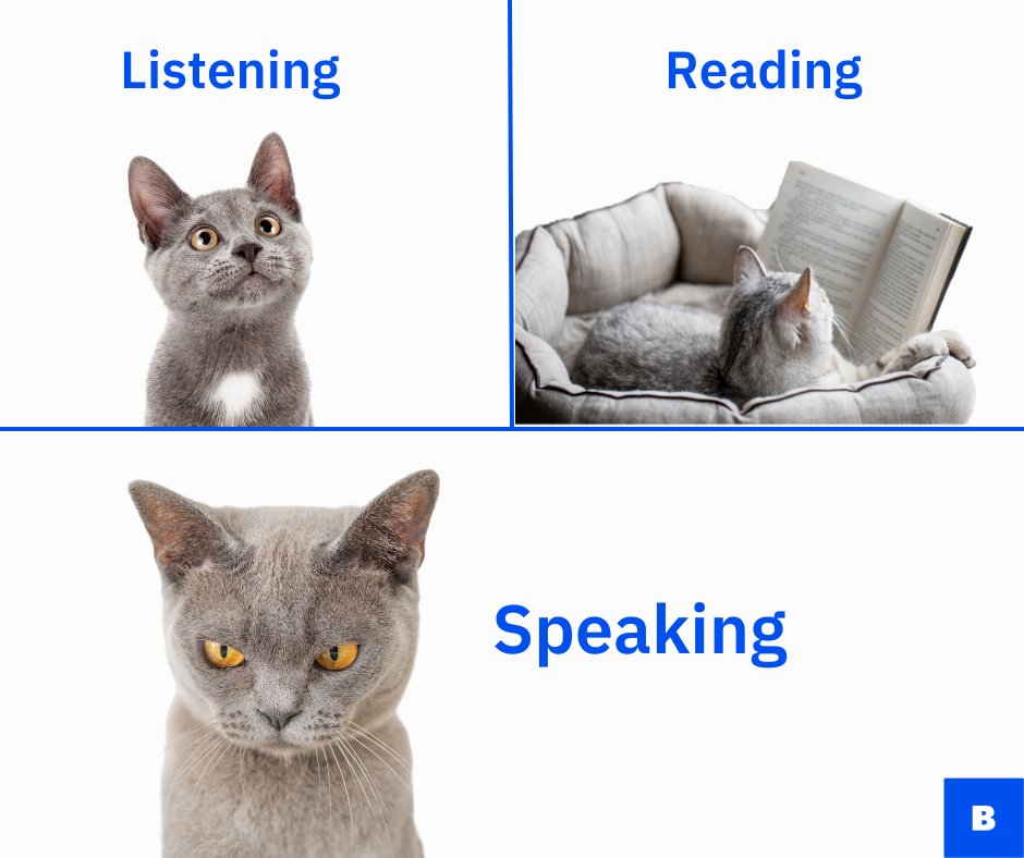 BerlitzCorp's tweet photo. Wait, you mean you actually want me to SPEAK the language I’ve been learning?! https://t.co/299HI2XbJj