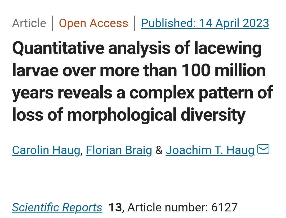 RianBraig's tweet photo. Paper out on neuropteran diversity in @SciReports ! We analyse morphological diversity of larval representatives of the group.

https://t.co/bMSuDK3suu https://t.co/qlmpZU72t9