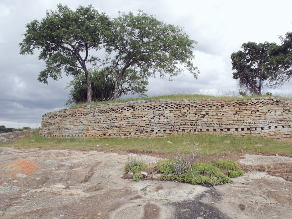 Ntate Mdluli 🇱🇸🇿🇼🇿🇦 tweet media