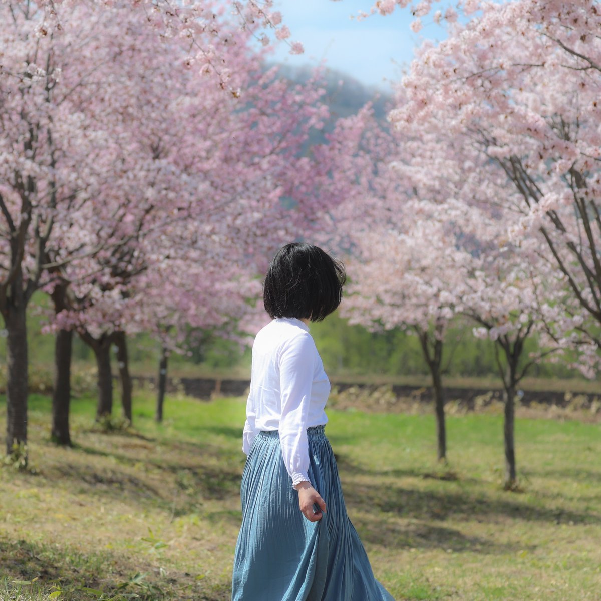 Photo_mi_sa's tweet photo. #新しいプロフィール画像 https://t.co/YLA59xF1nr