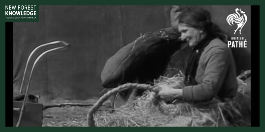NFKnowledge's tweet photo. Film footage from British Pathe of New Forest Gypsies in 1948 🎥
🔎 Discover more at: https://t.co/sbBhTByQss
#NewForestHeritageCentre #NewForestKnowledge #History #NewForest https://t.co/NRt523y3ie
