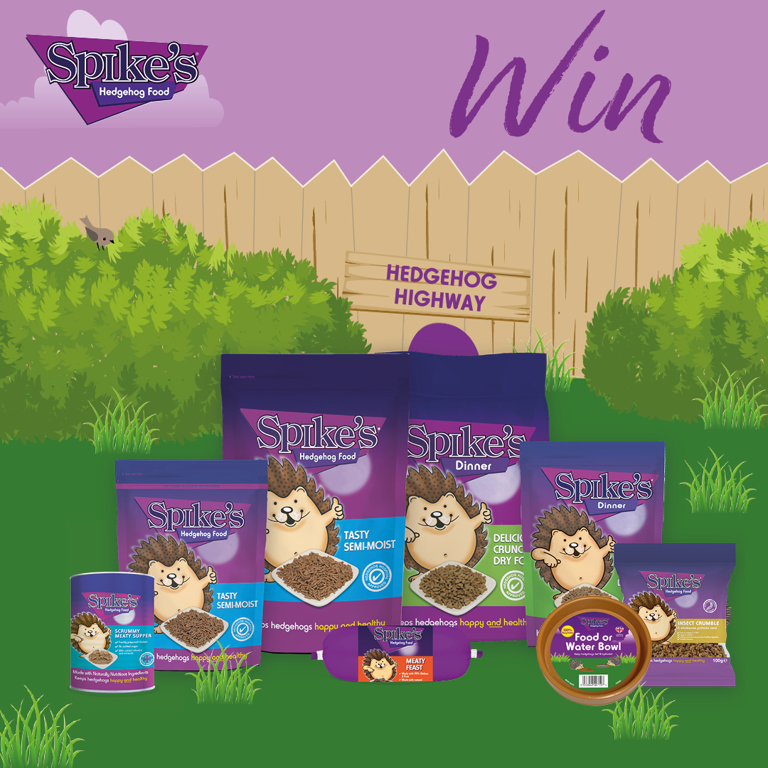 SpikesFood's tweet image. To end #HedgehogAwarenessWeek we want to give one person the chance to win the ultimate hedgehog hamper!

To enter:
1. Like and Retweet this post
2. Tag a friend
3. You must be following our account

Competition ends 11th May. Good luck!