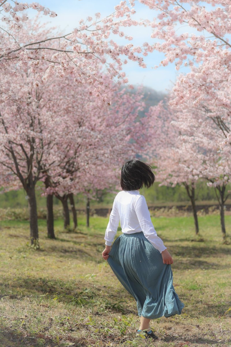 Photo_mi_sa's tweet photo. 桜見てきました(⁠人⁠ ⁠•͈⁠ᴗ⁠•͈⁠)
綺麗だったな〜 https://t.co/lb8G0gAwqS