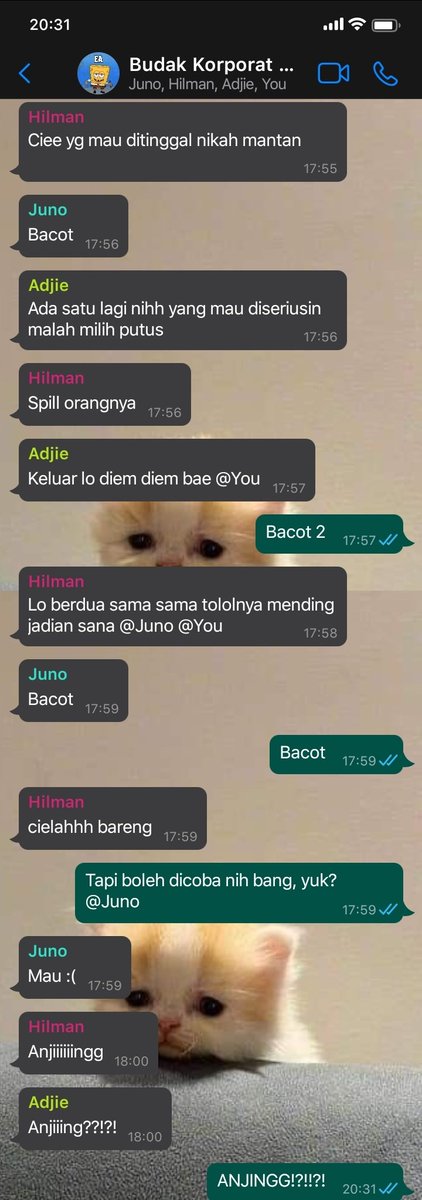 jangan follow soalnya mau aktif di sebelah😭 tweet media