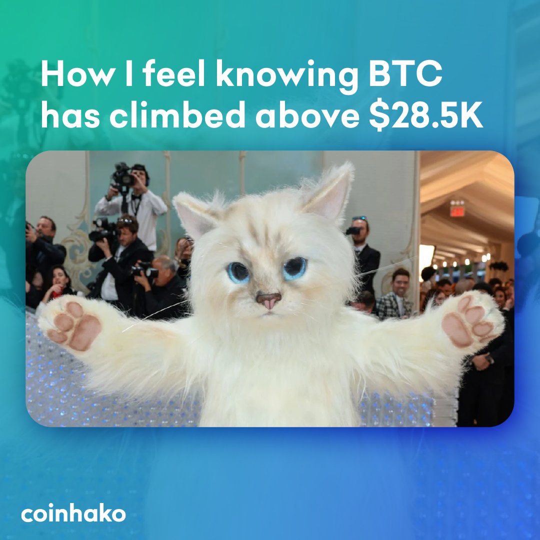 Coinhako tweet media