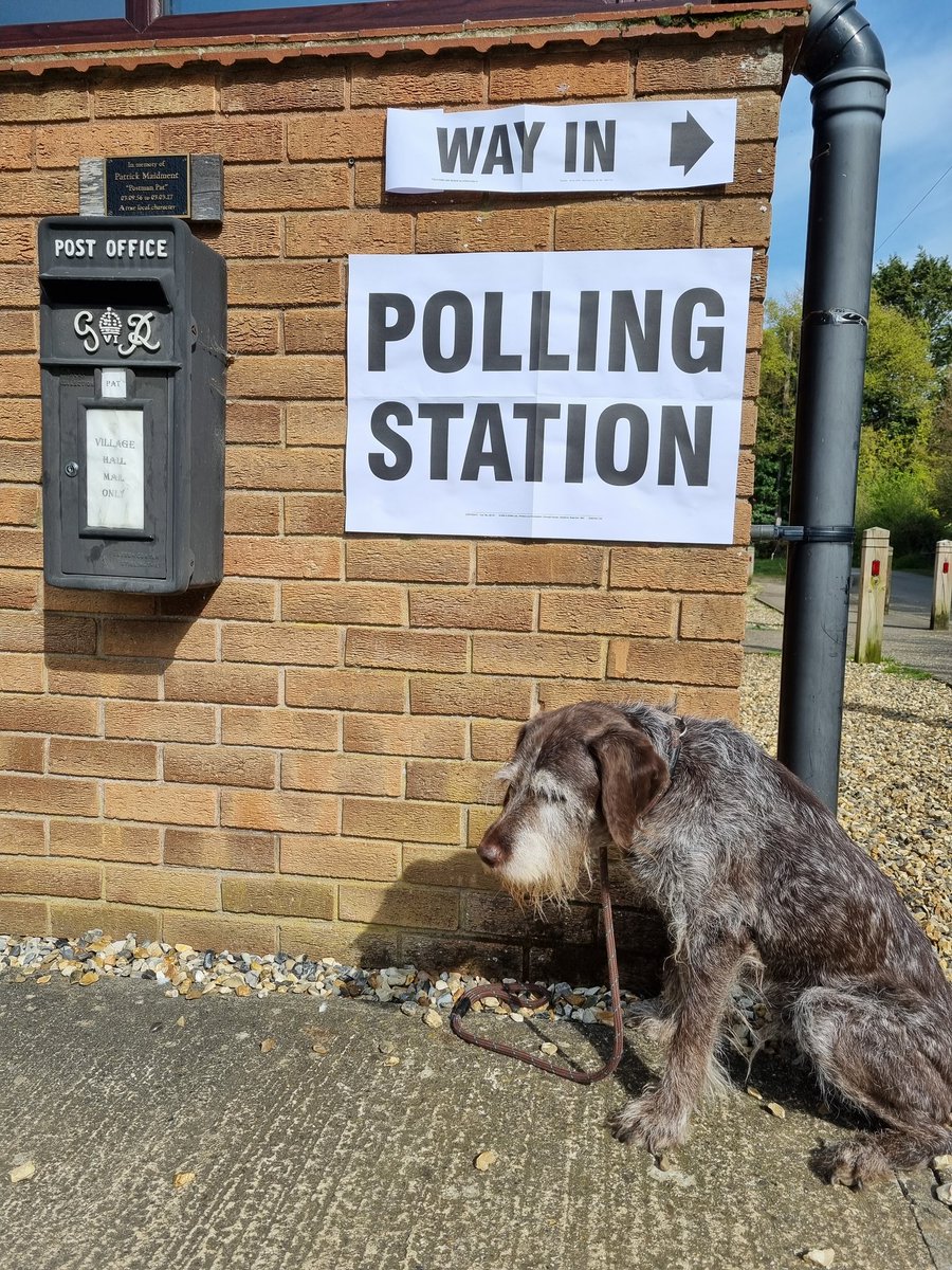 Etoile says I'm 13 and a half. Can I go home now 

#dogsatpollingstations 
#southnorfolk