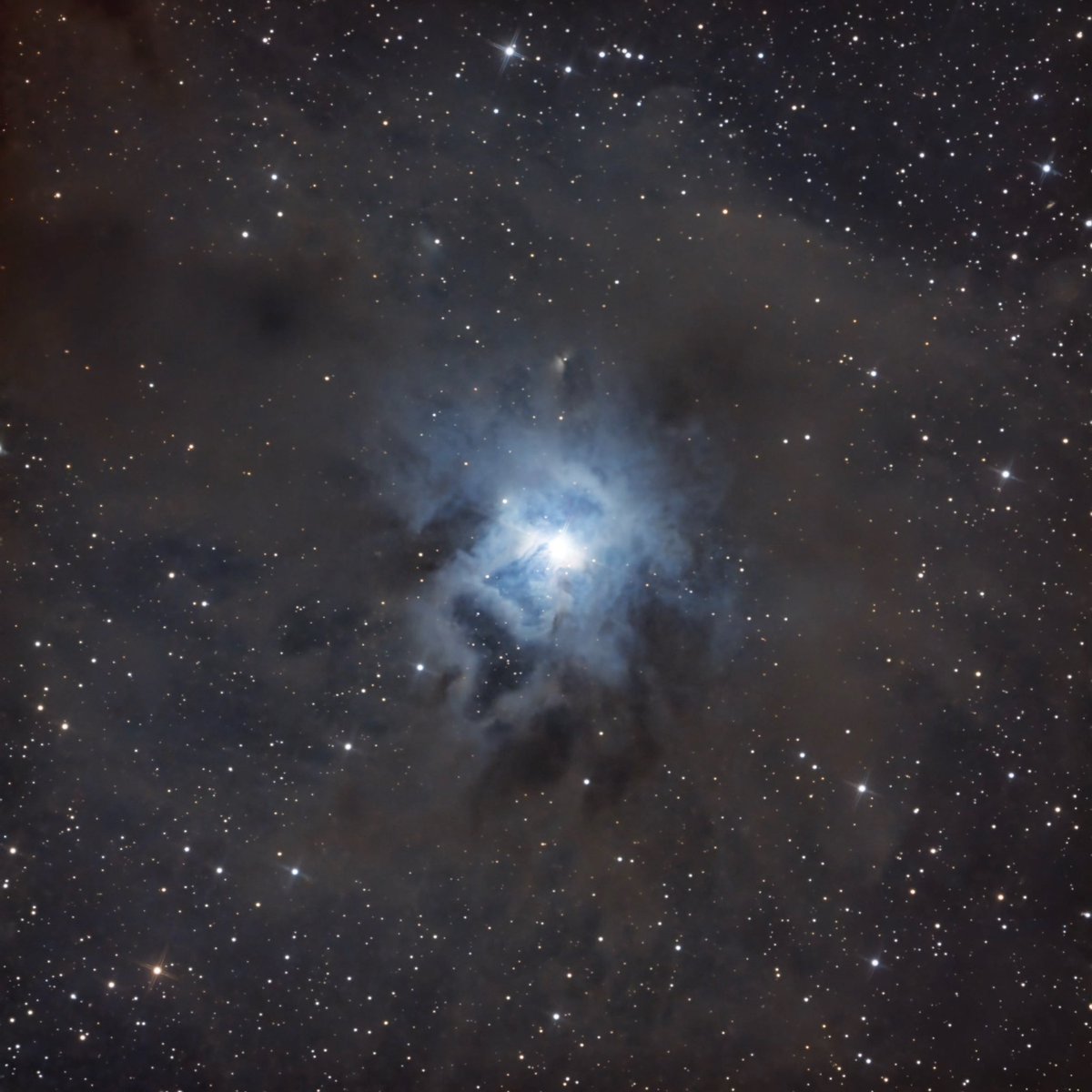 ScotiaAstro's tweet photo. I really love the contrast of bright glowing gas and dark dusty regions surrounding the impressive Iris Nebula, in the constellation of Cepheus…I shot this composition from my backyard in Scotland…🔭📸✨ #Astrophotography #Space #ThePhotoHour @zwoasi @TeleskopService @SkyWatcherUSA @skyatnightmag @BBCStargazing