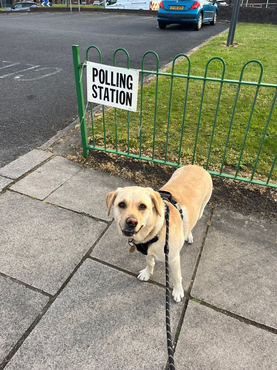 Liverpool Guild tweet media