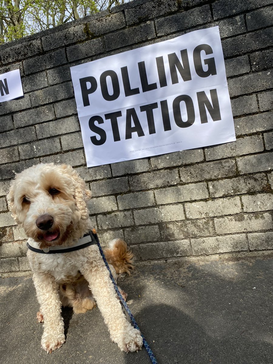 ‼️REMINDER: Vote in the local elections TODAY 🗳️🐶🗳️🐶🗳️🐶🗳️🐶‼️ Things to remember: 🗳️ Polling stations are open until 10pm today 🗳️ Don’t forget your Voter ID - even if expired 🗳️ You don’t need your polling card #dogsatpollingstations