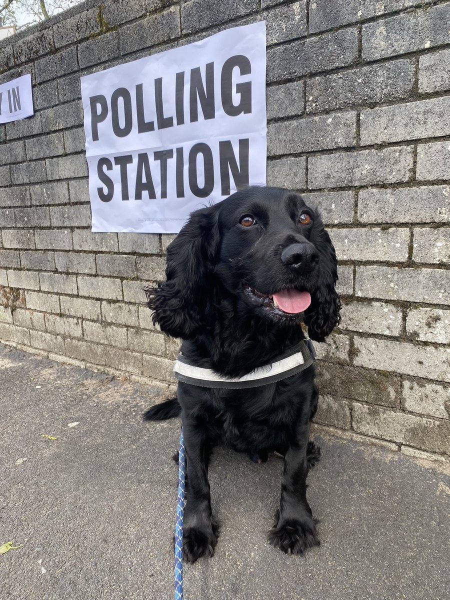 Liverpool Guild tweet media