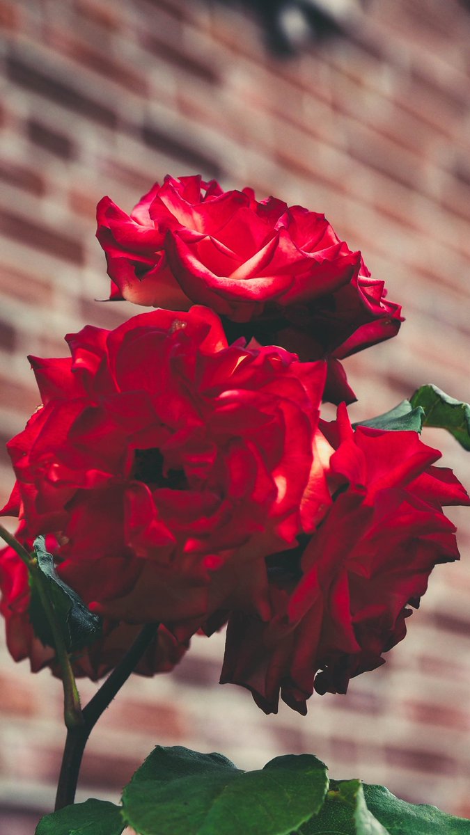 #DeJaponᵃʳⁱᵍᵃᵗᵒ⭐
#FOLLOWSELI💚

<a href="/Magdale_Aguilar/">꧁🅼🅰🅶🅳🅰❥꧂</a>🌹
<a href="/AmeliaVicencio/">♒🌷❤️𝐀𝐦𝐞𝐥𝐢𝐚𝐕𝐢𝐜𝐞𝐧𝐜𝐢𝐨❤️🌷♒️</a>
<a href="/poicipensoalnik/">💙Giovanni💙</a>
<a href="/nene_5895/">ねこ🐱🐾🐈⸒⸒⸒⸒爆裂世界拡散🌍✨毎日を給料日にする方法😉✨</a>
@ELRUBIO_RD
<a href="/Aegir25/">༆John༆</a>
<a href="/A00lg/">عبدالسلام الجباري</a>
<a href="/Eles26/">Eles Durán</a>
<a href="/cknlaw1/">🌐ニシ🍥⚖️</a>
<a href="/20ysf1/">Yusuf</a>
<a href="/Eles26/">Eles Durán</a>
<a href="/Hsnklil/">H. Hassan Khalil</a>
@suzu75124
<a href="/soonsis123/">سعود نيوم@soonsis123</a>
<a href="/zahoorap1/">zahoor ahmed</a>
<a href="/MariFa05/">🌻🌷Mariana Fabiola🌷🌻#colocolo</a>
<a href="/WALLI27/">Jhon f perez🎶🎸🚵☯</a>
<a href="/1TGQ2/">TG</a>
@Yulezx
<a href="/wa_291/">No sé qué hago aquí...</a>
<a href="/_Dara0/">Dara👑#FollowsEli 100%🇧🇷</a> 
<a href="/Rcj_63/">👉 नटखट रचना जैन 🇮🇳 🎯51K🐦😜👇🚩🚩💯</a>
<a href="/Voor21/">Voor</a>
<a href="/i1k__/">Mantasha</a>