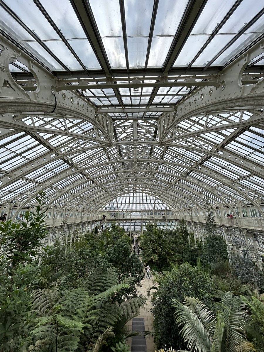 edward_gillin's tweet image. 100% in love with the iron ribs of Decimus Burton’s Temperate House at Kew Gardens. Built 1860-99, in collaboration with iron-founder Richard Turner. It’s huge - and since it’s 2018 renovation, so full of light!
#thursday #architecture #glass #engineering #iron #kew @kewgardens