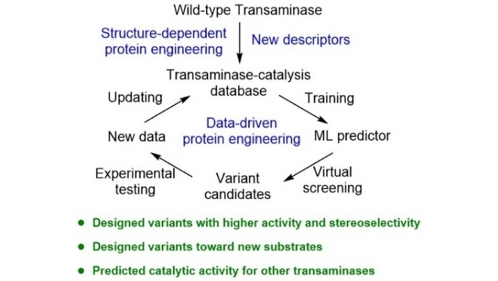 Angewandte Chemie (@angew_chem) on Twitter photo Structure- and Data-Driven Protein Engineering of Transaminases for Improving Activity and Stereoselectivity (Uwe T. Bornscheuer and co-workers) <a href="/aoyufe/">Yu-Fei Ao 敖宇飞</a> <a href="/Uni_Greifswald/">Uni Greifswald</a> #openaccess thanks to #projektDEAL onlinelibrary.wiley.com/doi/10.1002/an… Structure- and Data-Driven Protein Engineering of Transaminases for Improving Activity and Stereoselectivity (Uwe T. Bornscheuer and co-workers) <a href="/aoyufe/">Yu-Fei Ao 敖宇飞</a> <a href="/Uni_Greifswald/">Uni Greifswald</a> #openaccess thanks to #projektDEAL onlinelibrary.wiley.com/doi/10.1002/an…