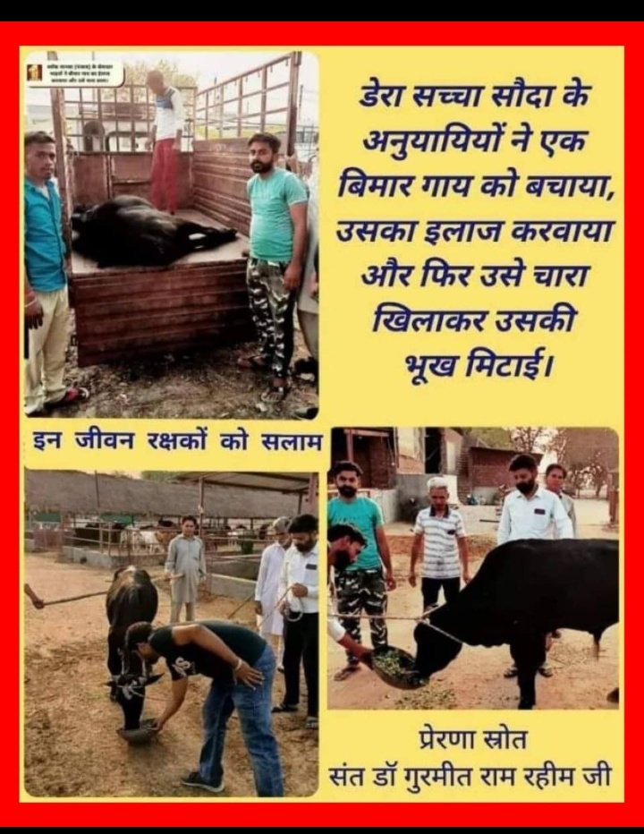 The biggest religion of a human being is to love the creation made by God.With the inspiration of Saint Gurmeet Ram Rahim ji,followers of DSS are doing animals welfare work,they are providing food shelter to stay animals and getting them medical treatment as per need.
#EndCruelty