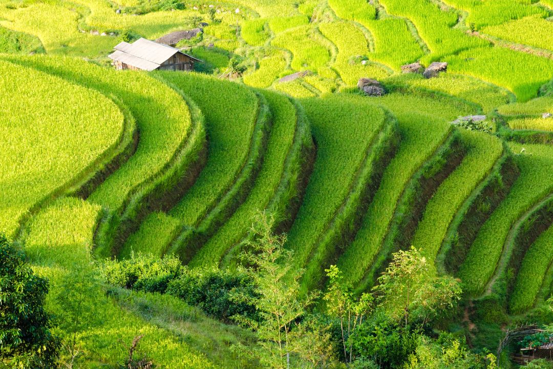Originvietnam's tweet photo. #HoangSuPhi #OriginTravel https://t.co/UwebBRHZDE