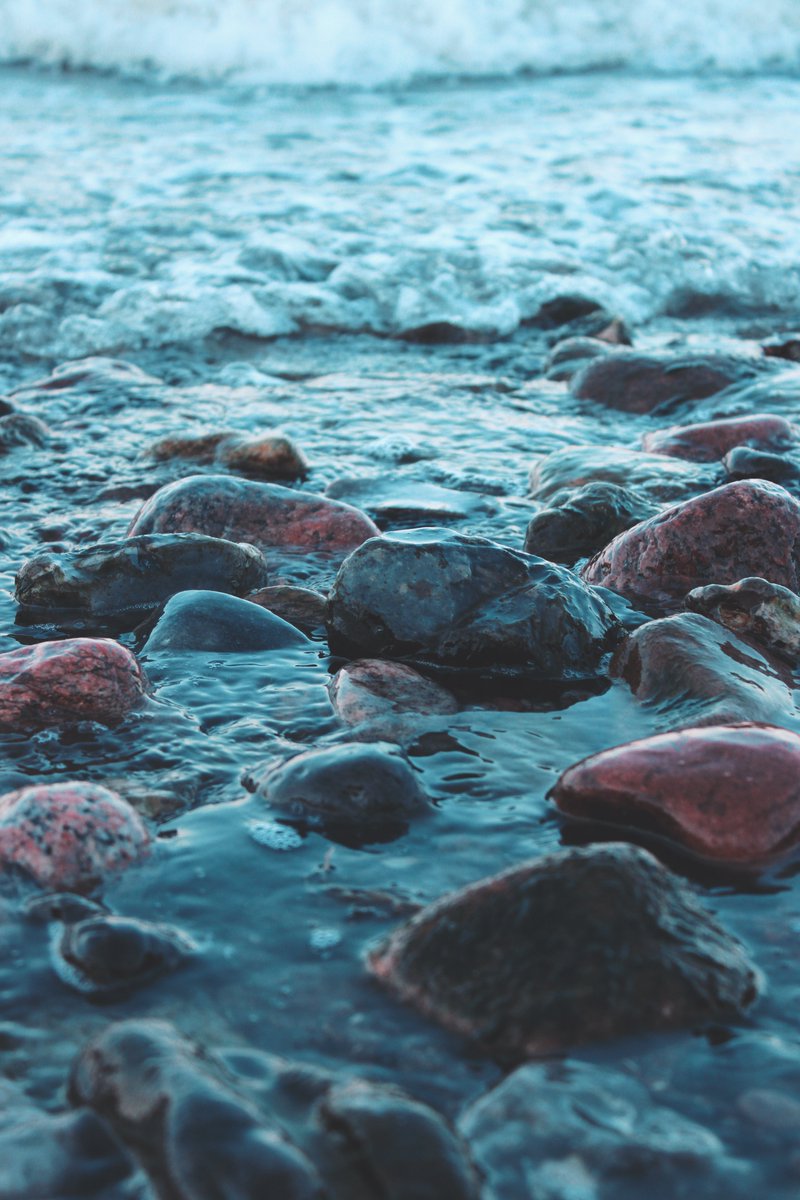 Jakze8's tweet image. Some photography i did while i was in Denmark🐨
Behance project: behance.net/gallery/169680…