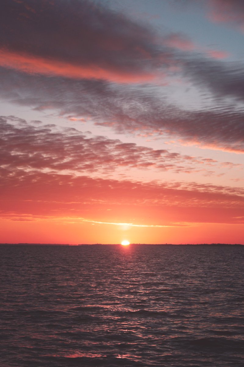 Jakze8's tweet image. Some photography i did while i was in Denmark🐨
Behance project: behance.net/gallery/169680…