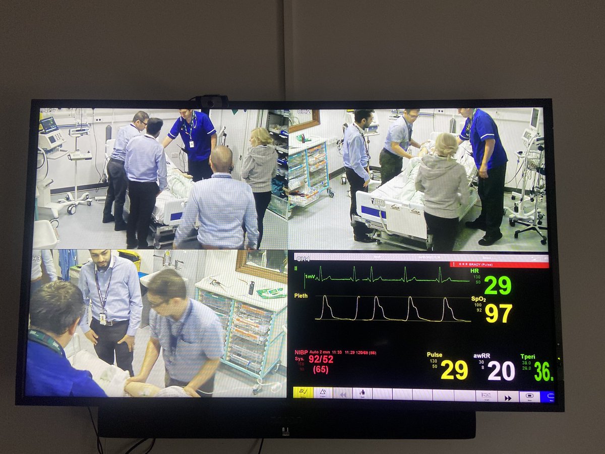 katy velamail tweet media