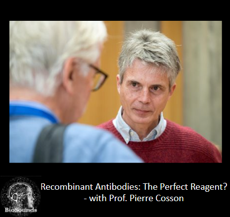 BioSounds tweet media