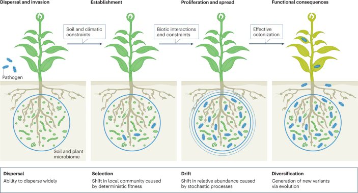 Global Sustainable Agriculture & Environment (@cropglobal) on Twitter photo Climate change impacts on plant pathogens, food security and paths forward <a href="/Prof_Braj_Singh/">Prof Brajesh Singh</a> et al examine the impact of future climate scenarios on plant pathogen burden, their interaction with the plant microbiome and the consequences on plant disease and productivity. Climate change impacts on plant pathogens, food security and paths forward <a href="/Prof_Braj_Singh/">Prof Brajesh Singh</a> et al examine the impact of future climate scenarios on plant pathogen burden, their interaction with the plant microbiome and the consequences on plant disease and productivity.