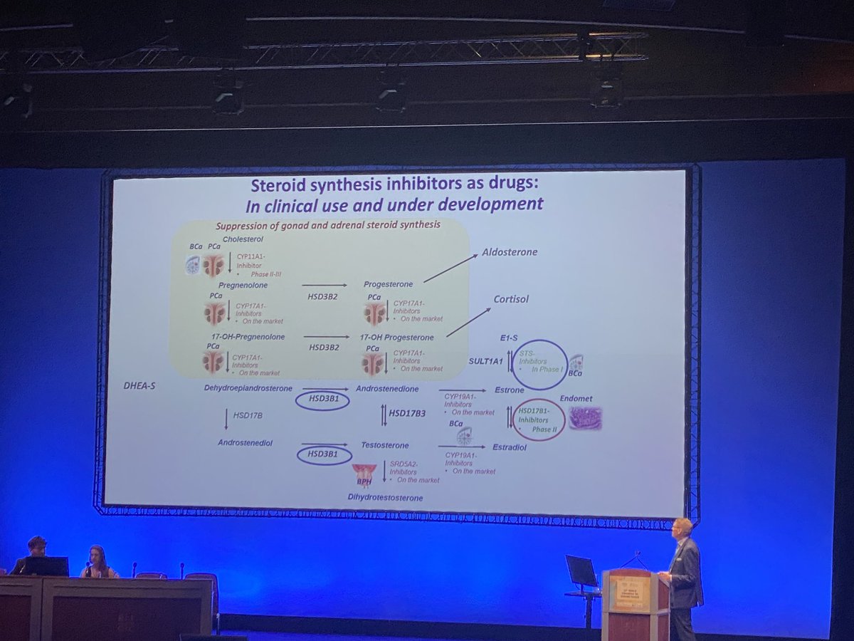 munrocb's tweet photo. Potential targets for therapies for endometriosis ⁦by Prof Matti Poutanen
@WorldEndoSoc⁩ #WCE2023 representing #LongSTEPPP https://t.co/AM4OFqXIxO