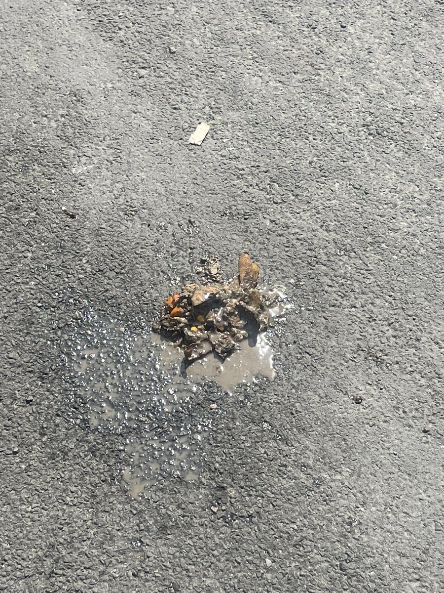 AimeeJENN's tweet photo. @DacorumBC bin men have just been to collect the bins on our road, and seems they have left us residents something… https://t.co/YxpCDaLlDB
