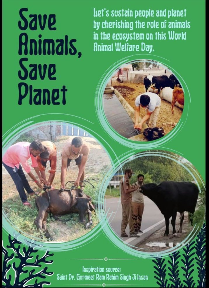 We should  always be kind to animals. The followers of Dera Sacha sauda do Animal welfare works which day inspiration of saint Gurmeet Ram Rahim ji, like keeping fodder, water for animals ,tying reflector belts to protect them from accident etc.
#EndCruelty