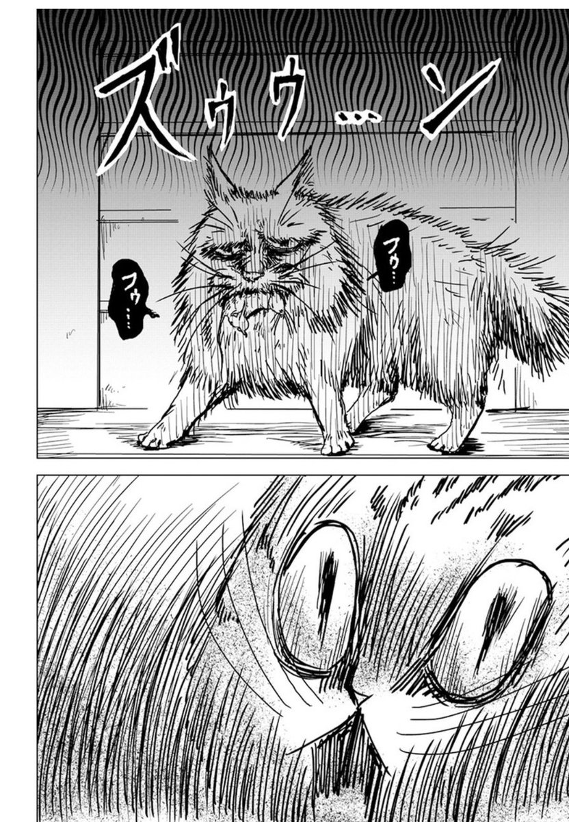 #苦悩化け猫おはし
たたかうの巻 