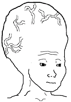 OriginalWojak's tweet photo. https://t.co/8fuO8LQgmo - 4chan here we come https://t.co/KtCozboUGD