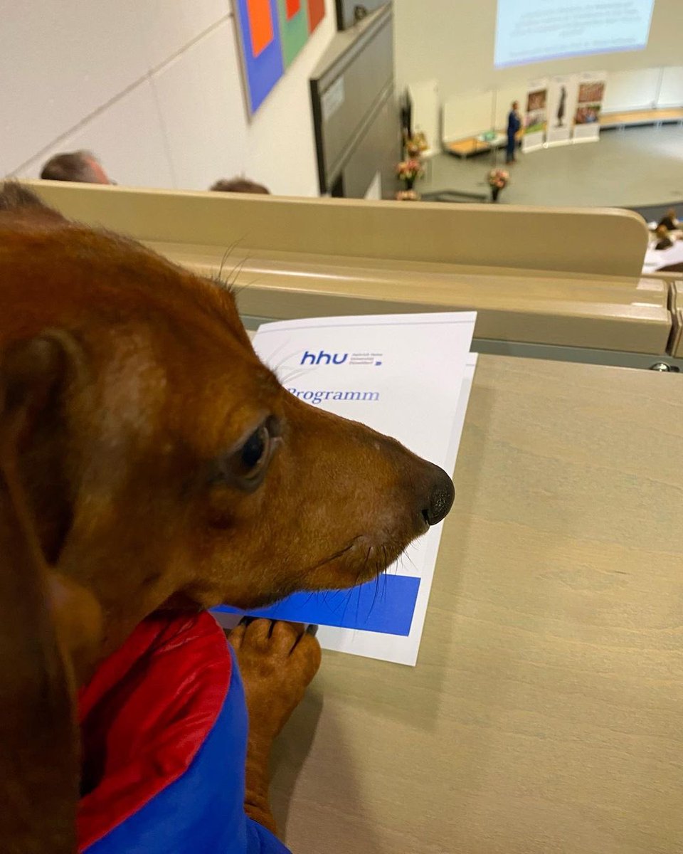 This is Joby. He's dedicated to the pursuit of higher education. Does not know what class this is, but he's dedicated to it. 12/10