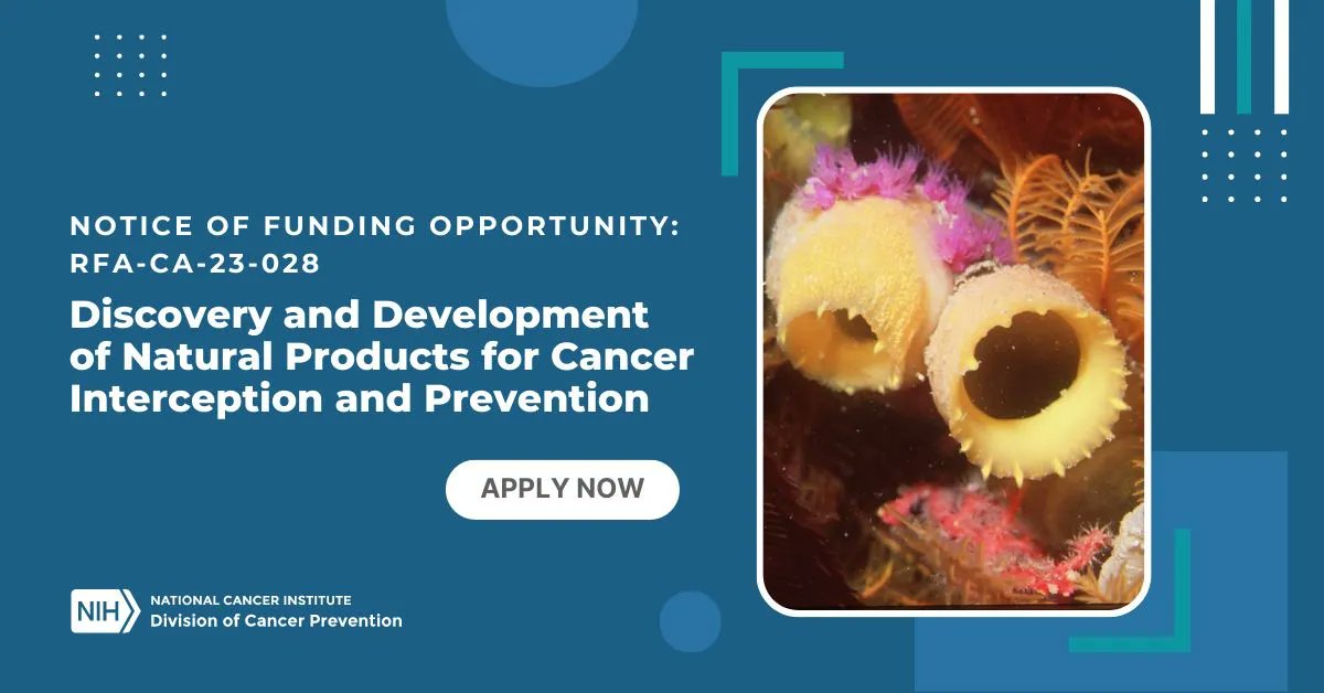 ACCEPTING APPLICATIONS: A grant opportunity is now available for the discovery and development of natural products for #CancerControl and prevention. Learn more about funding. grants.nih.gov/grants/guide/r… #CancerResearch #FOAMed