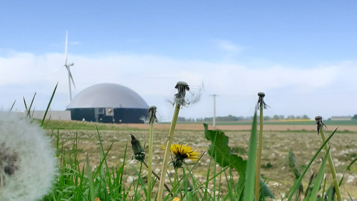 Thomas KLOTZ tweet media