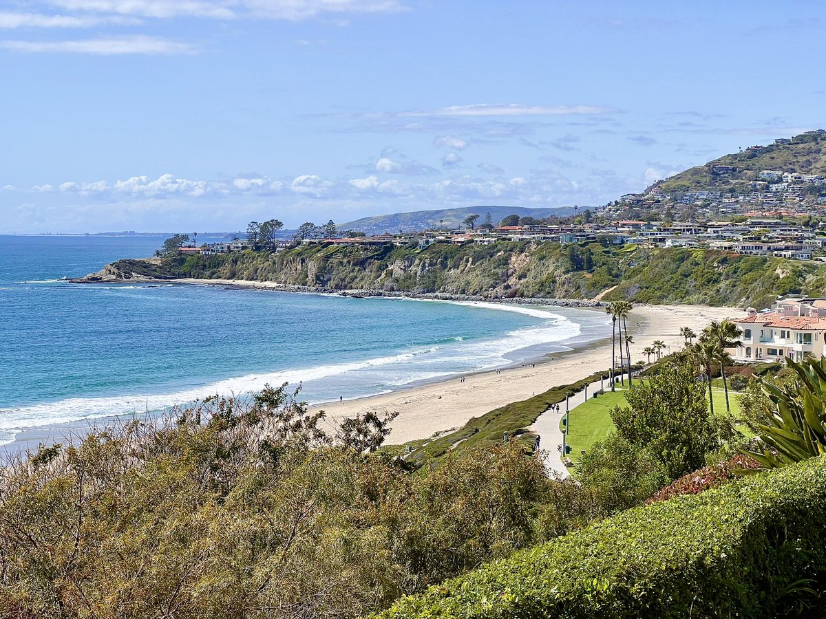 Shane Wenzel tweet media