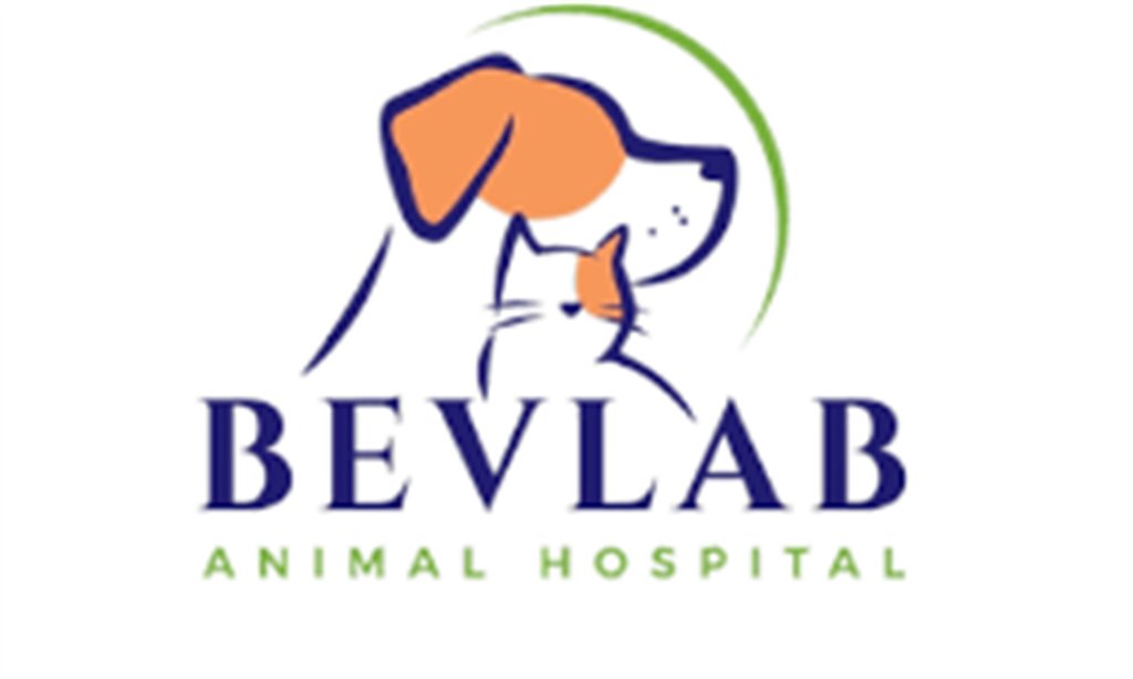 iHireJobAlerts's tweet image. Hot Job: Certified Veterinary Technician (#BlueIsland, Illinois) Bevlab Animal Hospital #job #AnesthesiaMonitoring go.ihire.com/ct77d