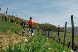 BadZurzach's tweet photo. Morgen gehts los. Die neue Zurzibieter E-Bike-Genussotur ist da. Das Zurzibiet mit allen Sinnen erleben! E-Bike-Genusstour CHF 57.--, mit Hotel (1 Na cht) und Therme ab CHF 177.--. 
https://t.co/5EQl9pyOOg 

#hochrheinaargau #amazonasderschweiz #therme #wellness #rheinwelten https://t.co/wNvAqoHld4