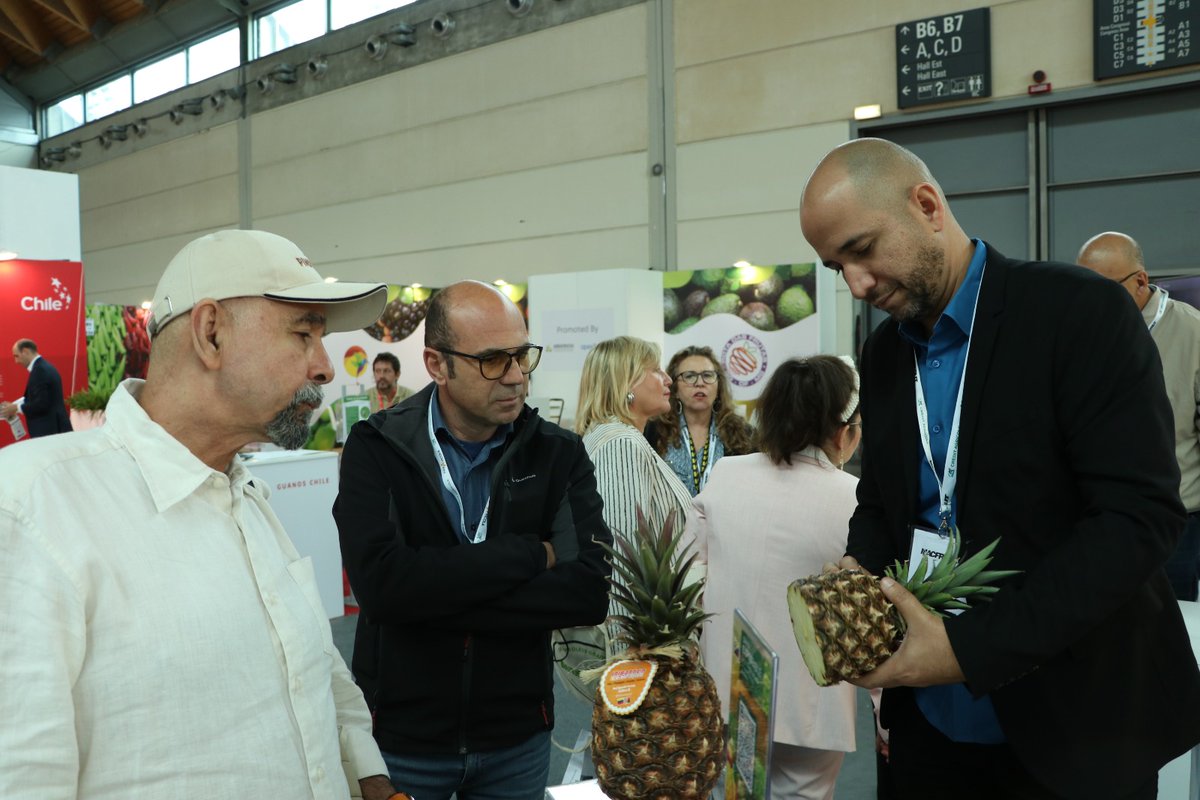 BancoexVE's tweet photo. La piña del estado Lara llega a la 40° edición de la Feria Internacional #Macfrut2023, a través de la empresa de Alimentos @AbastecerCA del municipio Iribarren, que exhibe sus potencialidades en el rubro frutícola demostrando que Venezuela tiene capacidad y calidad de exportación https://t.co/d8dwvmJH6d
