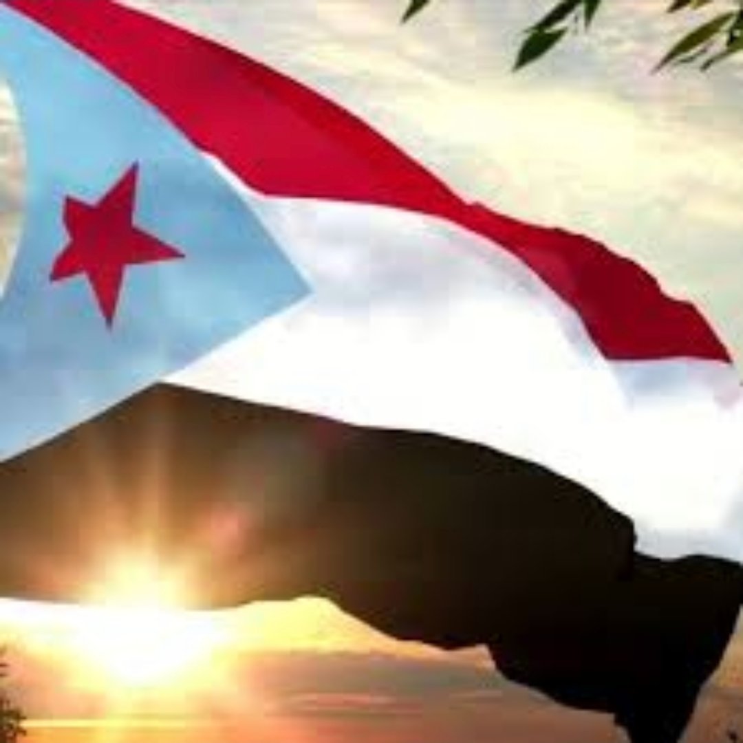 أمنية يحيى 🕊️ tweet media