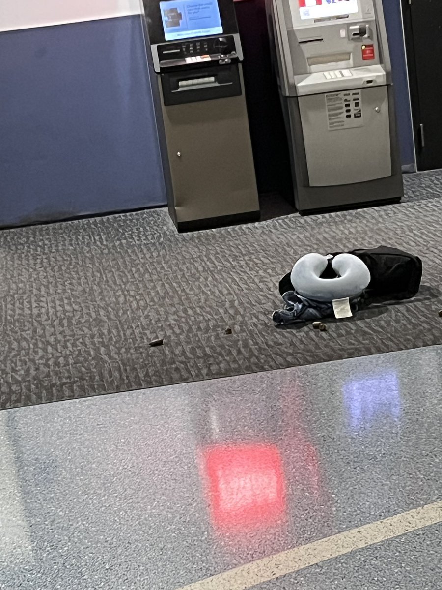 guywaters's tweet photo. @IFlyOAKland Disgusting that someone allowed their dog to take a dump in the terminal on the carpet near Gate 8! https://t.co/CoeAlbPmMl
