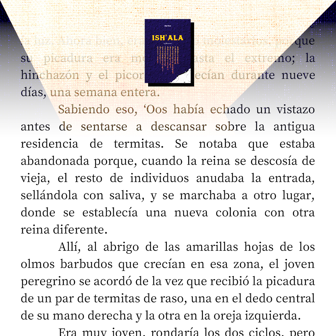 jogoescritor's tweet photo. 🔍Aquí te dejo un pequeño fragmento del texto.
💻También puedes echar un vistazo a la crítica que hizo @lectorabrujula en su blog: https://t.co/LyXuJxpSaS
https://t.co/AYuxuGo9RU
🧵
#ishala
(sigue) https://t.co/1YIMOcMBGF