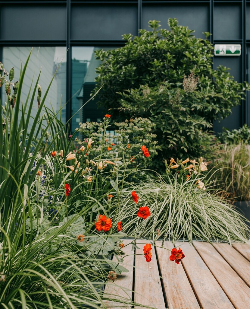 We don't know about you, but we're ready for some reliable spring weather so we can spend more time enjoying terraces like this 🌼 instagr.am/p/Cr01QGHNRXc/