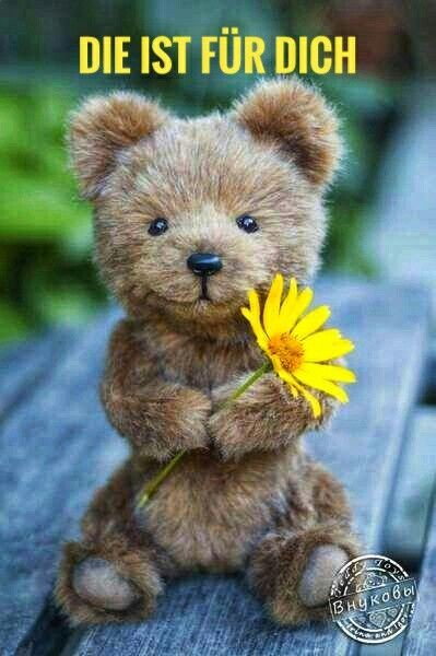 katerdresden's tweet photo. @St3flon https://t.co/pSIubFm7vl