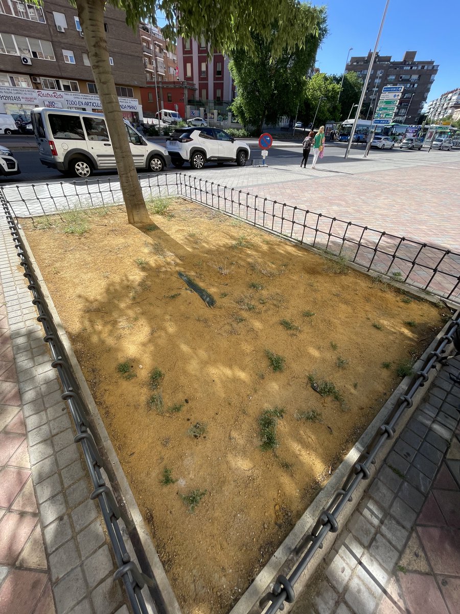 comechenator's tweet photo. Una de las prácticas que está implementado Almeida es la de sustituir el césped y la flora natural por cualquier material duro y si es artificial, mucho mejor.
La fuente y la estatua que se levanta en la Glorieta de Cádiz y sus jardines próximos lucen el nuevo estilo #UseraVerde https://t.co/UA5Cm8WlSf