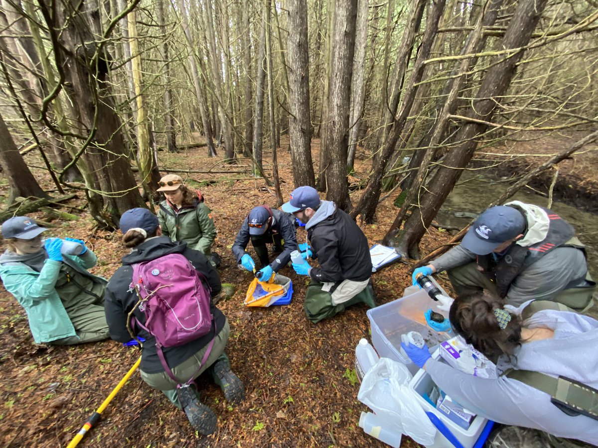 STREAM (@stream_cbg) on Twitter photo Today <a href="/hajibabaeilab/">Hajibabaei Lab</a> and <a href="/LivingLakesCA/">Living Lakes Canada</a> are in Peterborough for our training week in ON. Thanks for joining the STREAM team <a href="/KawarthaConserv/">KawarthaConservation</a> and <a href="/KLTptbo/">KawarthaLandTrust</a>! Today <a href="/hajibabaeilab/">Hajibabaei Lab</a> and <a href="/LivingLakesCA/">Living Lakes Canada</a> are in Peterborough for our training week in ON. Thanks for joining the STREAM team <a href="/KawarthaConserv/">KawarthaConservation</a> and <a href="/KLTptbo/">KawarthaLandTrust</a>!