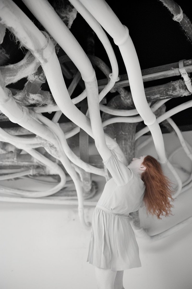 Dy Mokomi tweet media