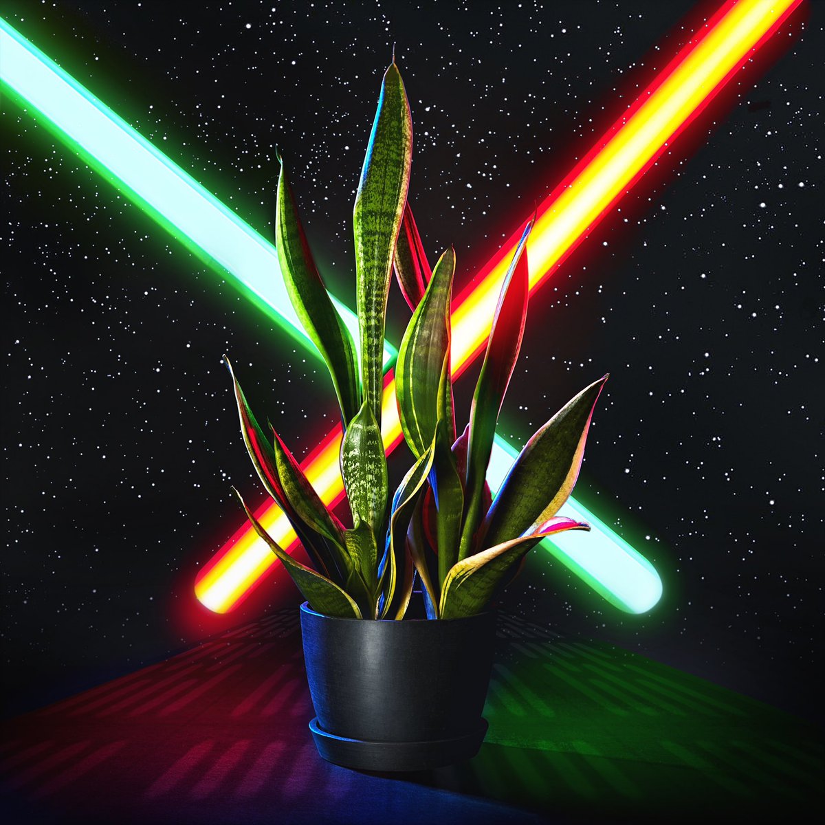 #May4thBeWithYou 🪴
