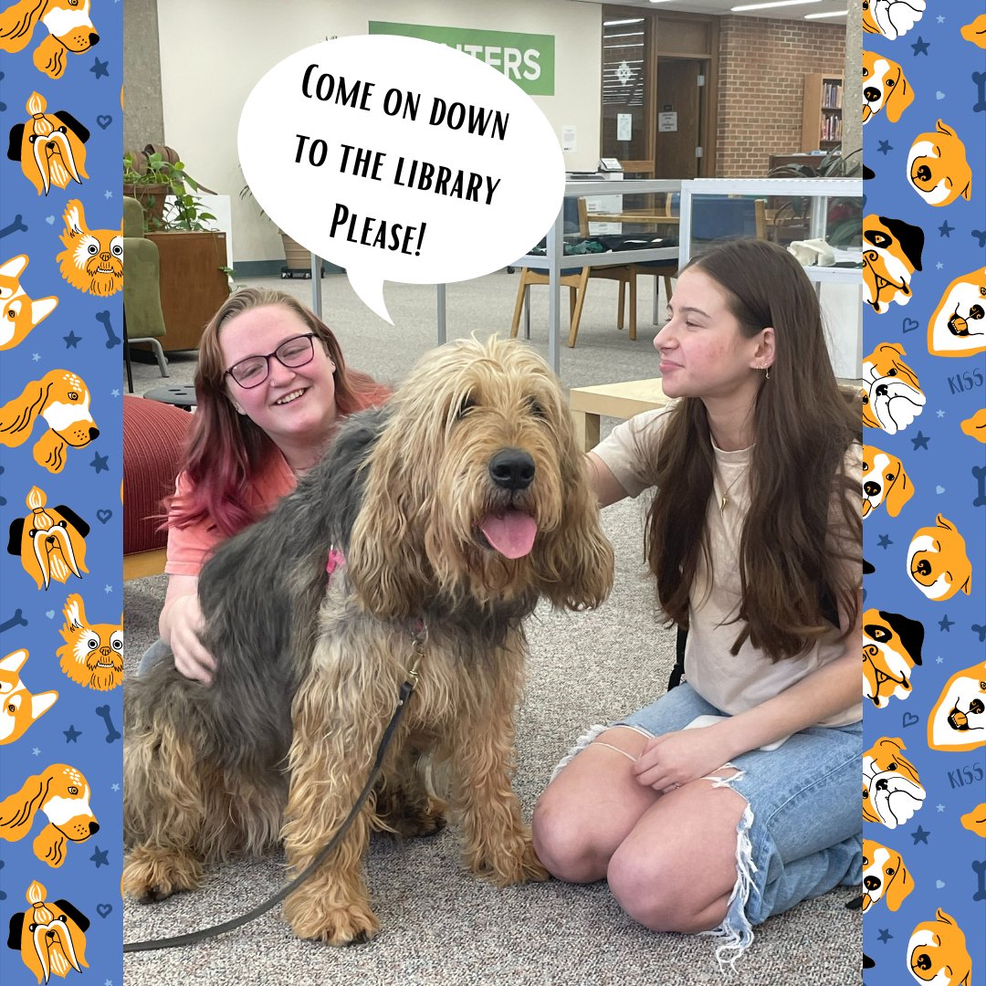 uwplibrary's tweet photo. Therapuppies are here until 2pm! 

#therapuppies #uwplibrary #uwparkside https://t.co/ubSqIknJC4