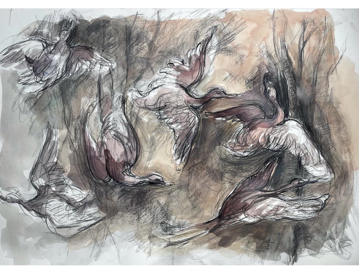 thrilled to see my bird paintings, four artworks on display at Orthopaedics, Llandough Hospital. TY to Arts for Health and Wellbeing team for supporting me and a huge thank you to members of the public who helped fund framing the artworks. #hospital #art #health # #wellbeing