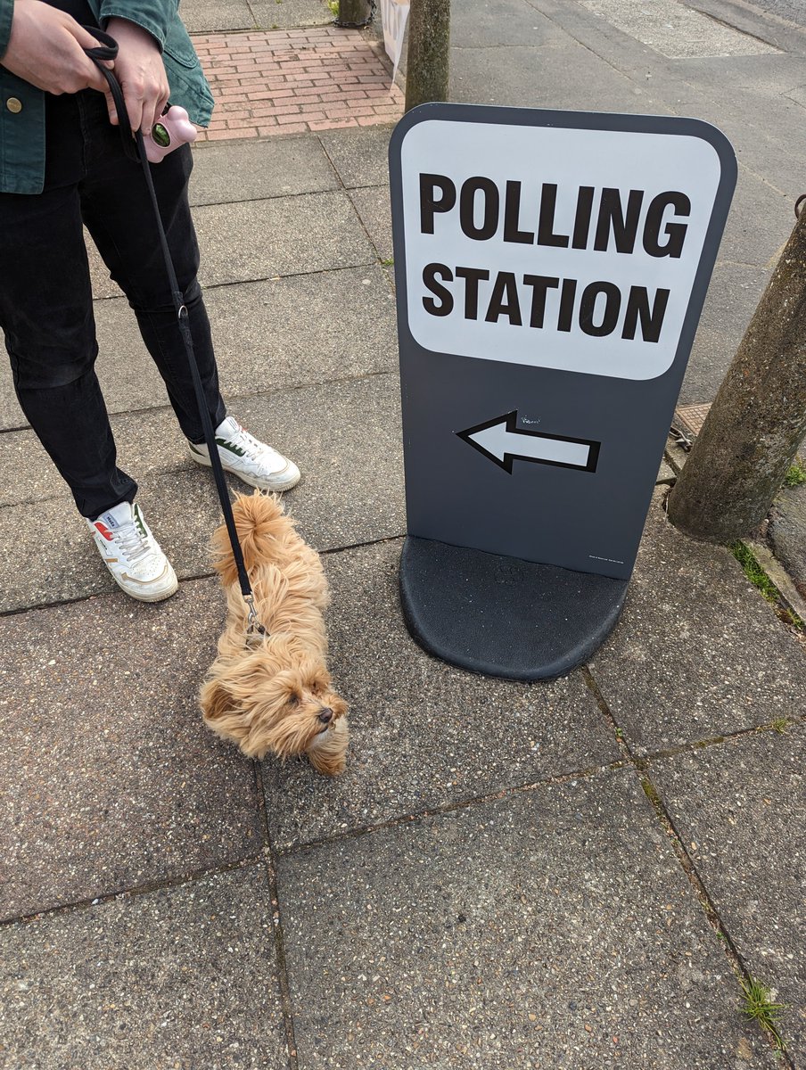 jasminelliott_'s tweet photo. Rhubarb's first #dogsatpollingstations Big fan of democracy, less fond of the wind. https://t.co/6Uzb6UWMup